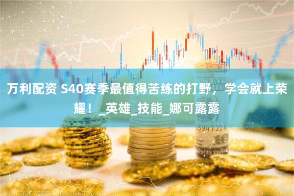 万利配资 S40赛季最值得苦练的打野，学会就上荣耀！_英雄_技能_娜可露露