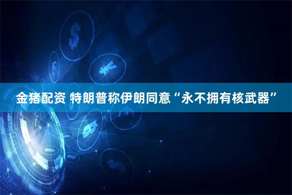 金猪配资 特朗普称伊朗同意“永不拥有核武器”