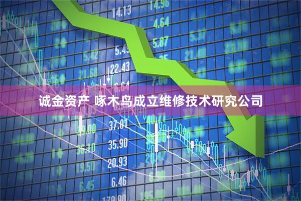 诚金资产 啄木鸟成立维修技术研究公司
