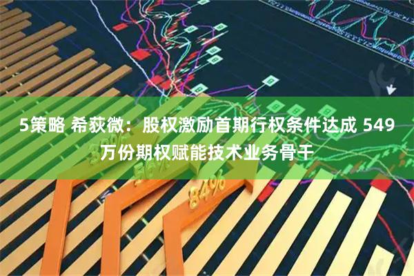 5策略 希荻微：股权激励首期行权条件达成 549万份期权赋能技术业务骨干